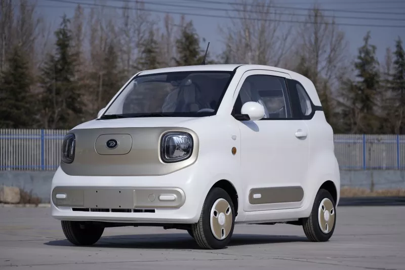 EEC COCアダルトミニ電気自動車のない免許証なし