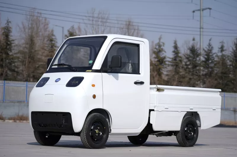 ミニ電気自動車輸送バン4車輪2翼のドア